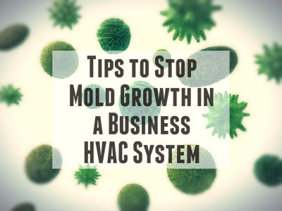 Tips to Stop Mold Growth in a Business HVAC System-BrucesAC
