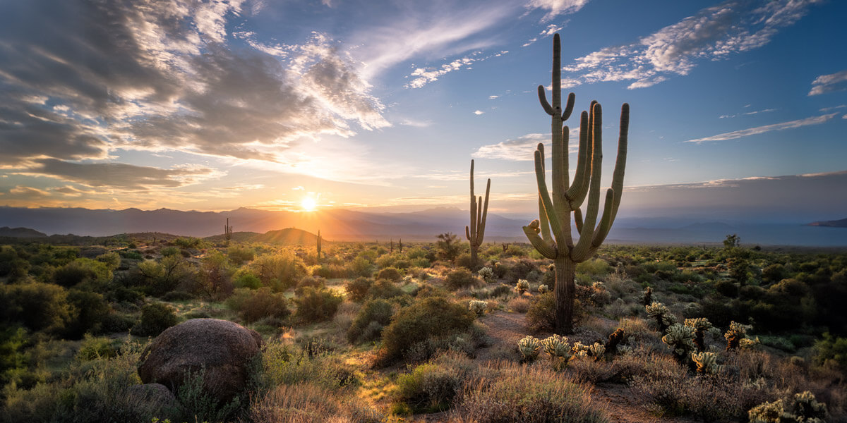 A serene desert landscape at sunset, featuring cactus trees and majestic mountains in the background.