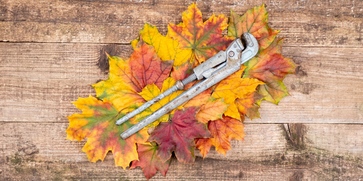 A serene wooden background adorned with vibrant autumn leaves and small wrens, capturing the essence of fall.